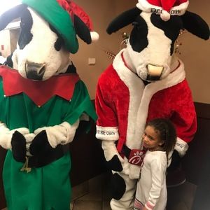 Meet your Posher, Bourne